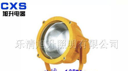 供应BTC8200防爆投光灯 BTC8210 海洋王投射灯