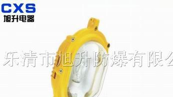 供应CBFC8120内场防爆强光泛光灯