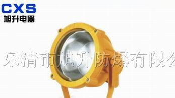 供应CBTC8200防爆投光灯