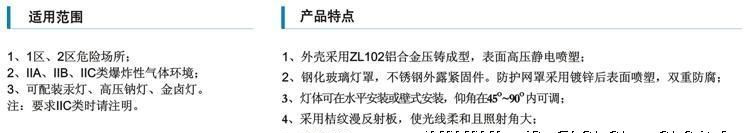 防爆泛光灯