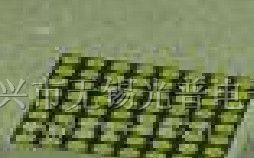 供应2088黄色点阵