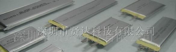 批发供应力神电池 电芯