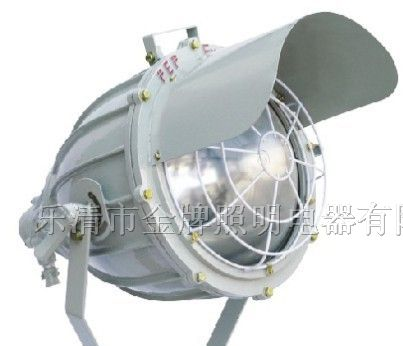 供应BAD5050系列防爆投光灯（IIB）