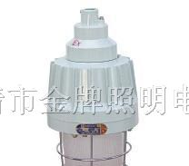 供应BAD56系列隔爆型防爆灯(ⅡC)BAD58