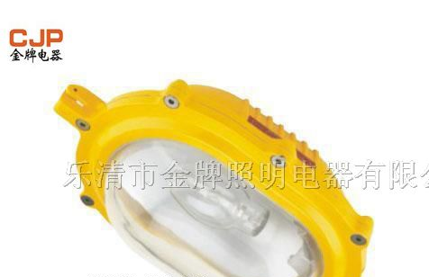 供应BFC8920 内场强光粉尘防爆灯 BFC8120