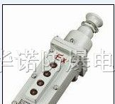 供应LA5817防爆电动葫芦按钮,厂用防爆电动葫芦按扭