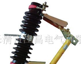 供应RW7-10/100A（200A）跌落式熔断器【畅销全国】