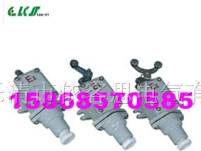﹔BZX51-6/CBXK-6﹔依客思、乐清防爆行程开关