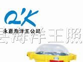 粉尘防爆泛光灯 BFC8920 海洋王防爆灯海洋王