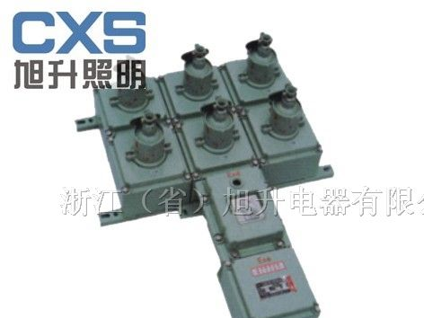 供应FXX防爆检修电源插座箱