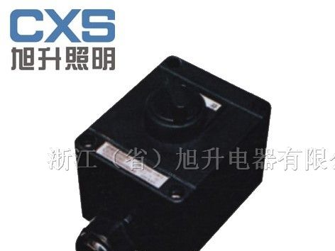 供应BZM-10防爆防腐照明开关