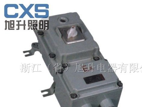供应BLK52防爆断路器