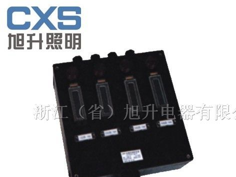 供应CBP8060/BXM(D)53防爆照明(动力)配电箱