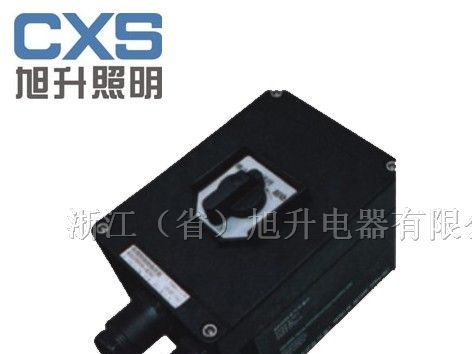供应CBZK8060/BZZ51防爆转换开关(IIB、IIC)