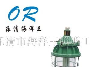 供应BAD-A-J 节能防爆荧光灯 海洋王 气体放电灯