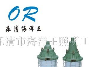 供应BAD-C-J 节能防爆荧光灯 海洋王