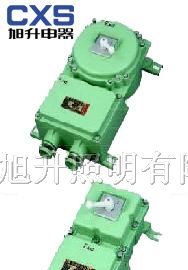 供应CBK52系列防爆断路器