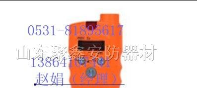 供应氨气报警器|RBBJ-T