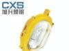 内场防爆强光泛光灯