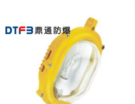 DTFB8120内场防爆强光泛光灯