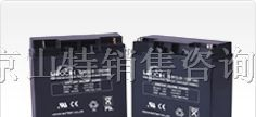 供应理士蓄电池山东OTP电池-友联12V100AH