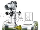 供应流量计V锥流量计