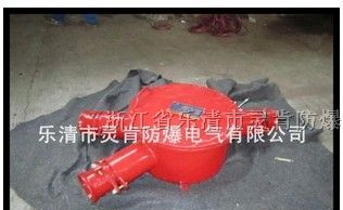供应隔爆型电缆接线盒，隔爆型高压接线盒