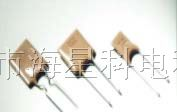 pptc 自恢复保险丝 RF16-200