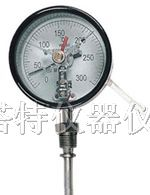 供应YPF-100膜片压力表/长沙塔特仪器仪表