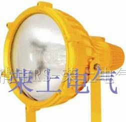 供应BTC8210 防爆投光灯