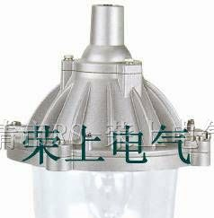 供应NFC9112 防眩泛光灯，灯具