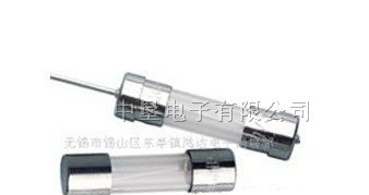 供应5 20 4A引线小电流保险丝管保险管