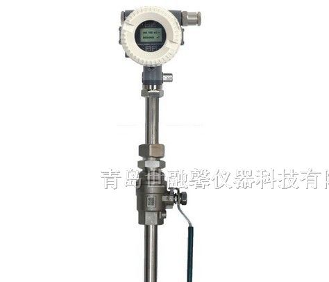 供应插入式热式质量流量计