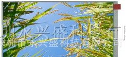 供应群创5.6寸工业显示屏AT056TN52 V.2