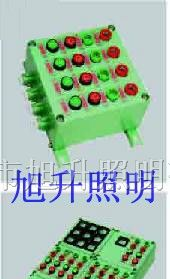 供应CBP58系列防爆控制箱（ⅡB、ⅡC）