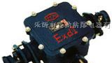 供应BHD2-200/380-2T矿用隔爆型低压电缆接线盒