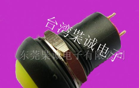 供应PM防尘防水自锁按钮开关