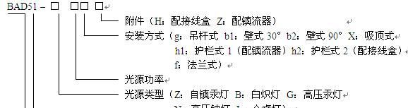 隔爆型防爆灯（IIB）BAD51-250系列
