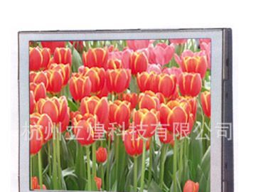 供应【热销】元太5寸工业液晶屏 LED背光LCD液