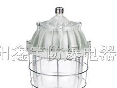 供应B3C-400系列隔爆型防爆灯(IIB)
