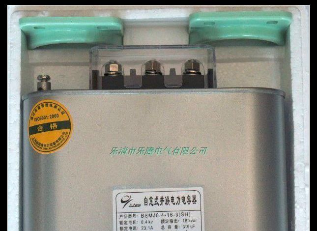 供应低压电力电容器 BSMJ0.4-15-3  厂