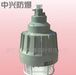 防爆无极灯BWD/65w/85w/135w【新品】