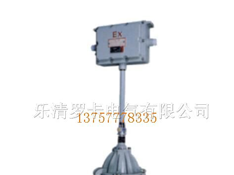 供应BAJ52-B防爆应急灯·节能灯·防爆灯