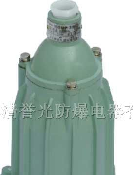 供应BAK51防爆视孔灯