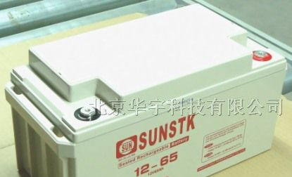美国山特蓄电池价格|山特12V-65AH蓄电池现货供应