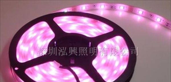 供应厂家直销LED灯带3528/5050