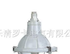 供应BAD52隔爆型防爆灯,温州节能防爆灯