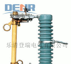供应RW10-10/100A户外高压跌落式熔断器