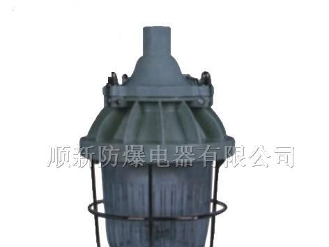 供应隔爆型防爆灯（ⅡB）