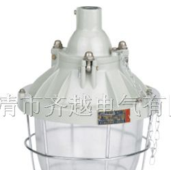 供应隔爆型防爆灯,荧光灯,障碍灯,报警器,警示灯